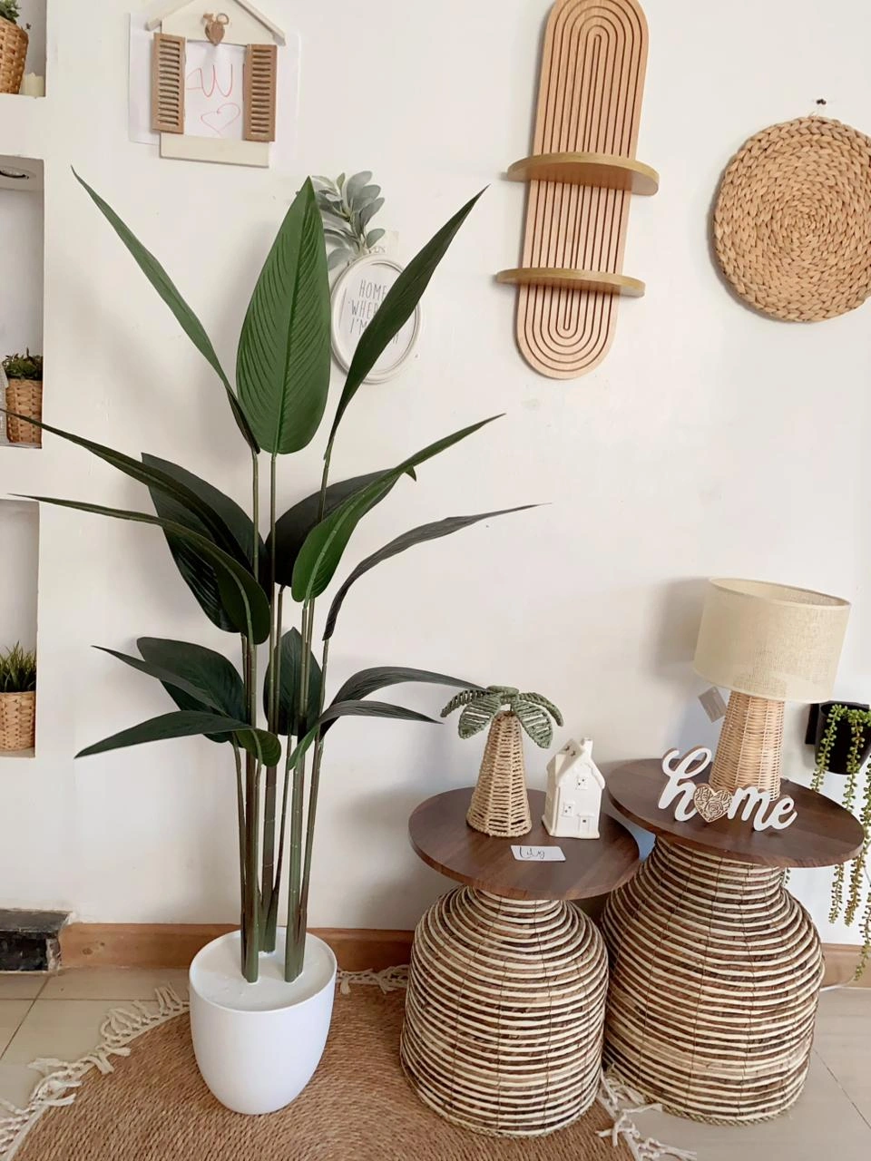 Bird of Paradise tree